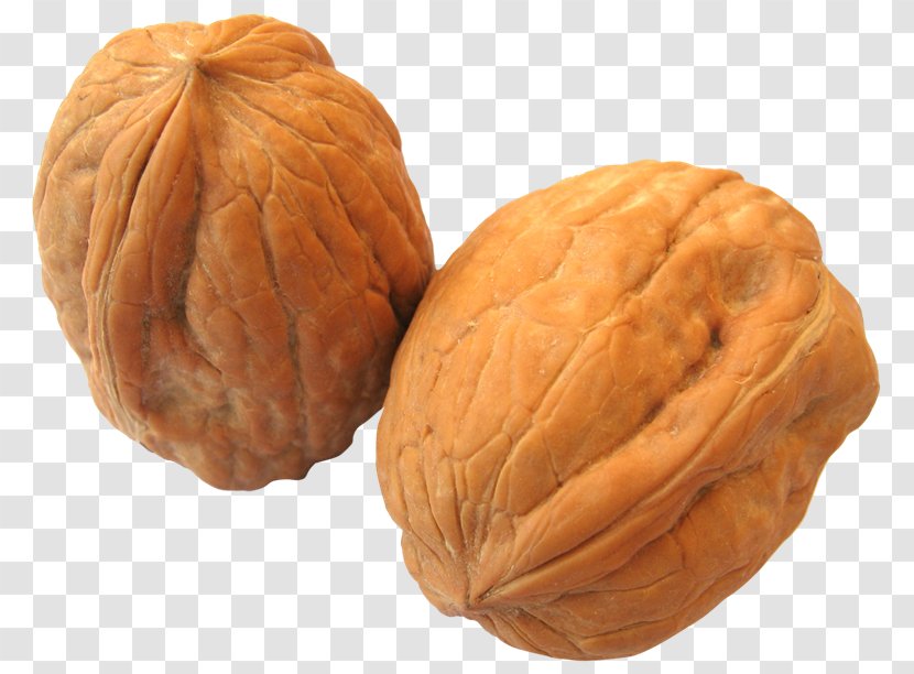 English Walnut - Drupe - Nuez Transparent PNG