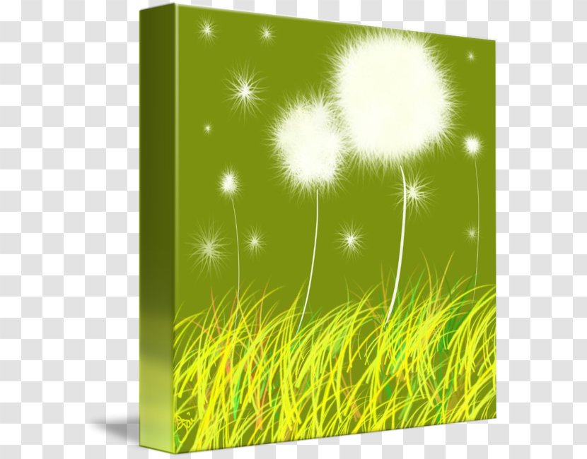 Energy Desktop Wallpaper Grasses Computer Flower - Plant - Grass Family Transparent PNG