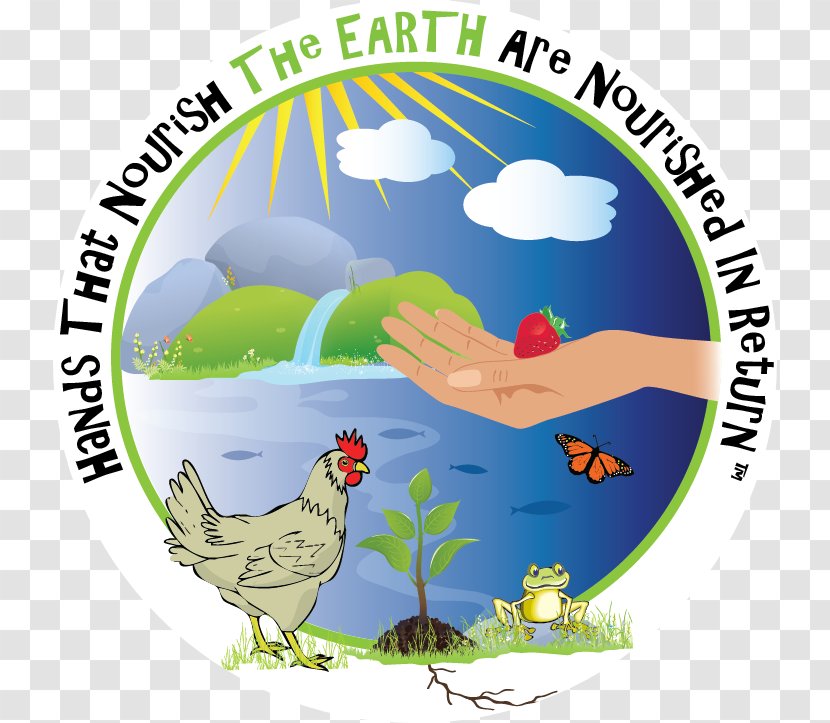 Fauna Ecosystem Human Behavior Clip Art - Tree - Healty Food Transparent PNG