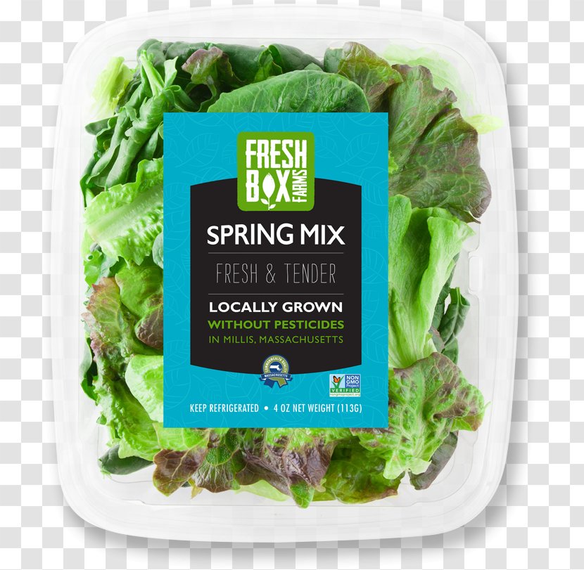 Romaine Lettuce FreshBox Farms Hydroponics Agriculture - Spinach - Vegetable Transparent PNG