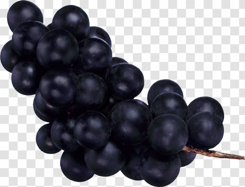 Common Grape Vine Fruit - Vitis - Image Transparent PNG
