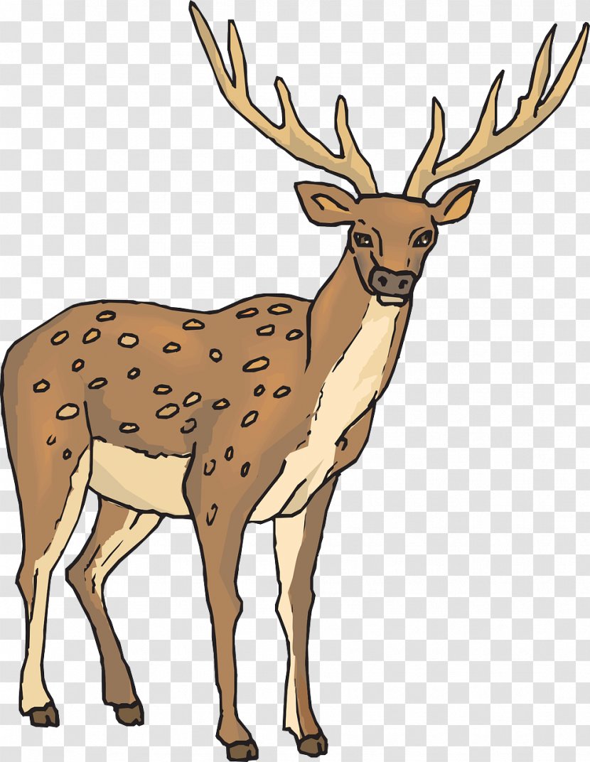 Reindeer Clip Art - Horn - Strong Deer Transparent PNG