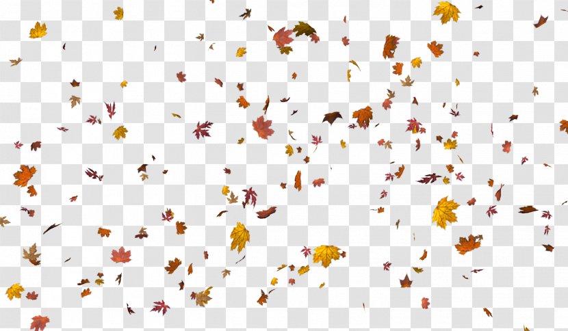 Autumn Leaf Color Layers Clip Art Transparent PNG