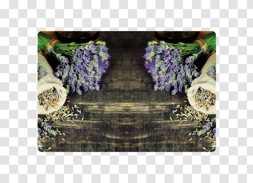 English Lavender Essential Oil Massage Flower - Photography Transparent PNG