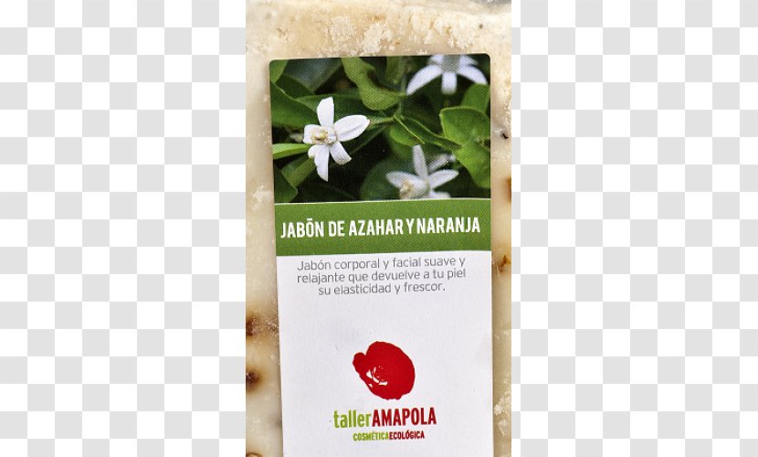 Superfood Herb - Azahar Transparent PNG