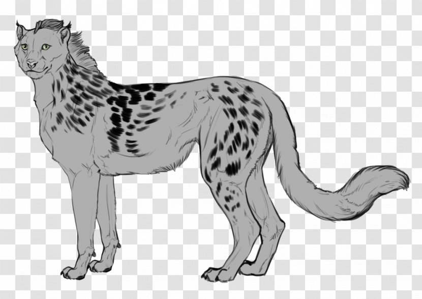 Cat Cheetah Lion Leopard Mammal - Small To Medium Sized Cats Transparent PNG