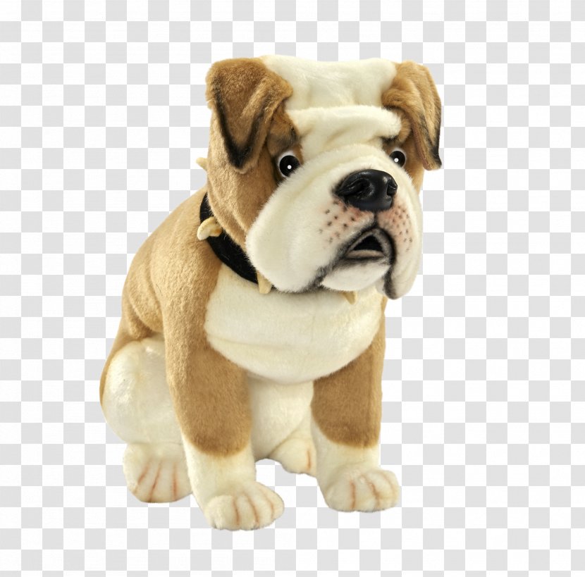 Dorset Olde Tyme Bulldogge Toy Bulldog English Puppy - Dog Breed Group Transparent PNG