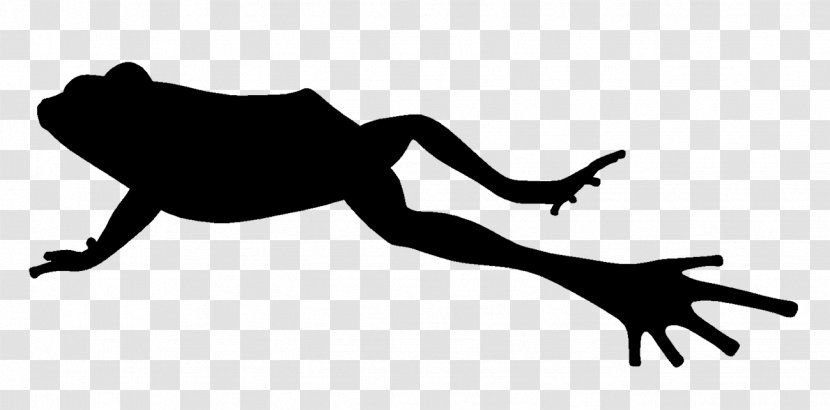 Toad Frog Jumping Contest Silhouette Clip Art - Joint Transparent PNG