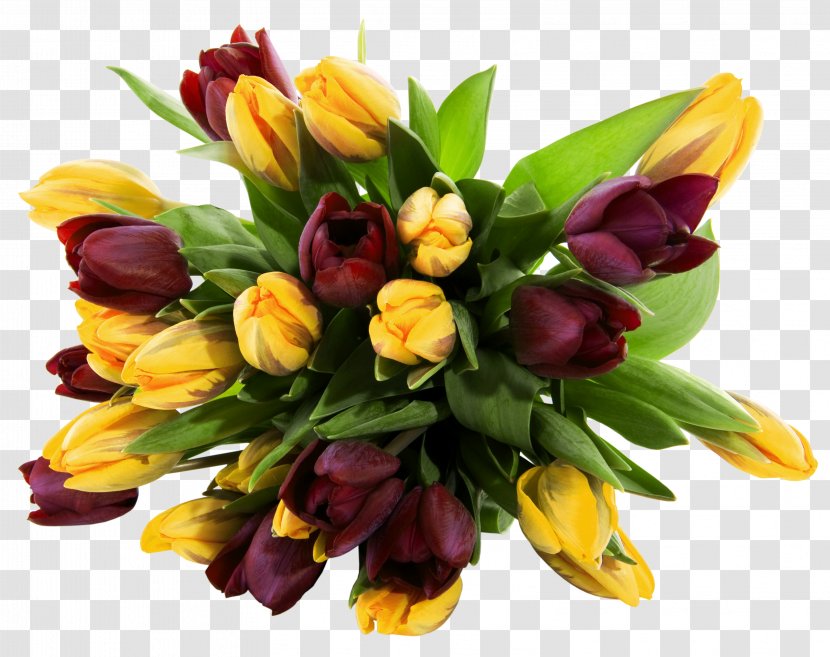 Flower Bouquet Wallpaper - Com - Yellow And Red Tulips Transparent Picture Transparent PNG