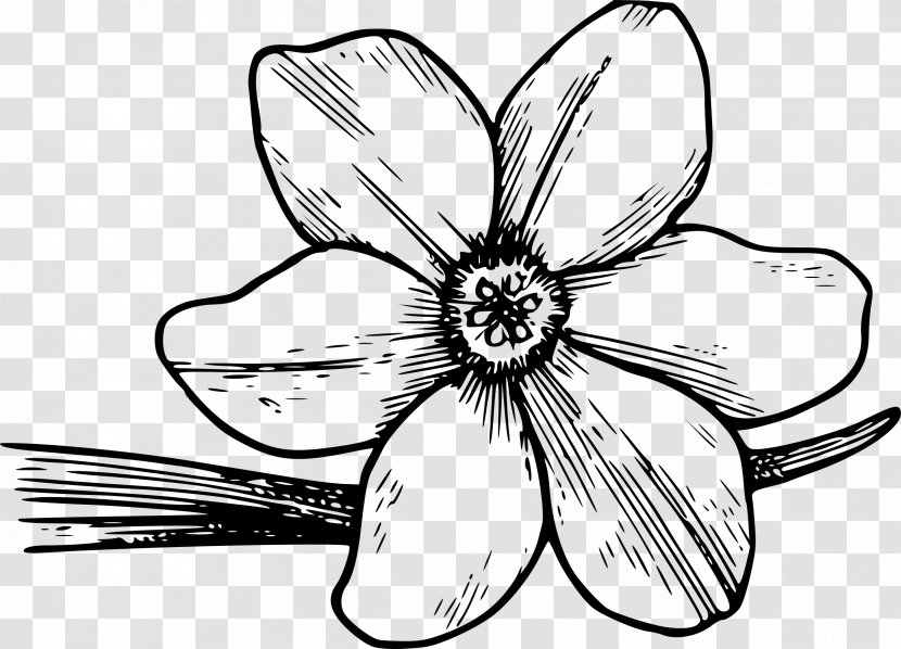 Flower Paper Coloring Book Clip Art - Bud Transparent PNG