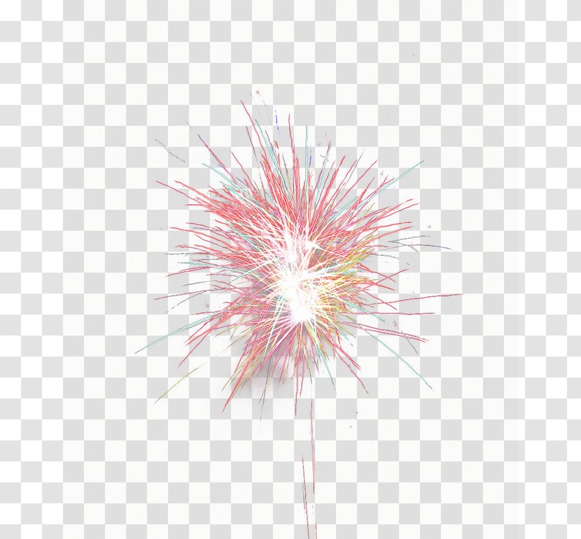 Mooncake Petal Pattern - Fireworks Transparent PNG