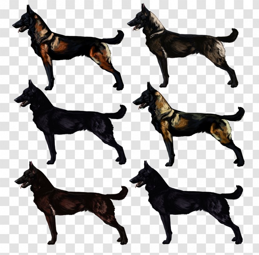 Malinois Dog Australian Kelpie German Shepherd Breed Working - Like Mammal - Dogo Argentino Transparent PNG