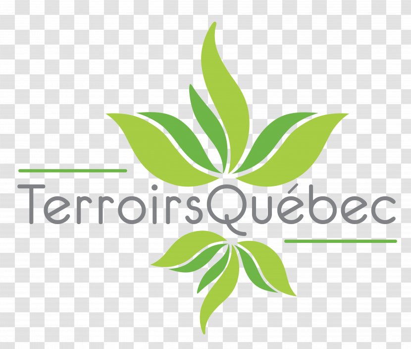 Terroir Usito Cook It Québécois Association Canadienne D'éducation De Langue Française - Leaf - QUEBEC Transparent PNG