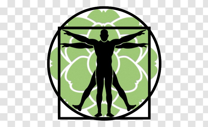 Vitruvian Man Stock Photography Drawing Illustration IStock - Leonardo Da Vinci - Flowers Transparent PNG