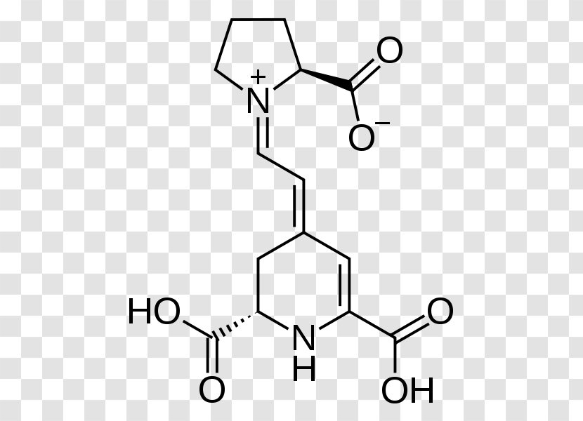 Essential Amino Acid Amine Aspartic - Carboxylic - Text Transparent PNG