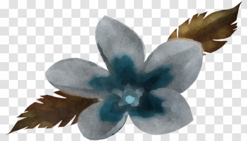 Blue Petal Turquoise Leaf Plant Transparent PNG