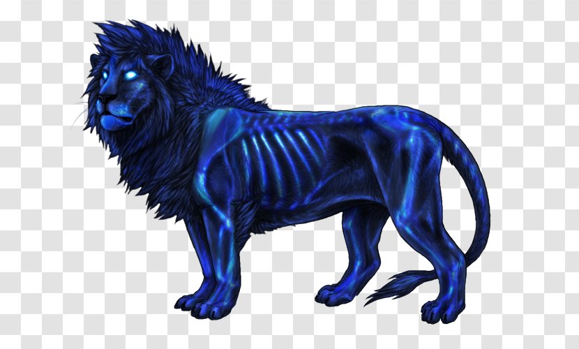 Lion Big Cat Leopon Felidae - Dog Transparent PNG