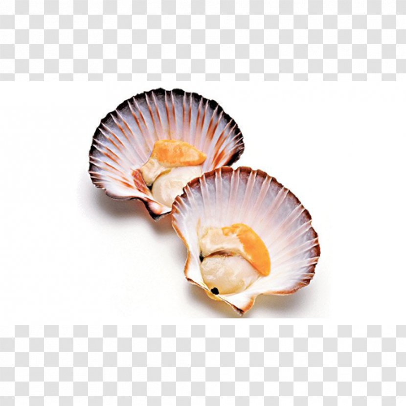 Pectinidae Pecten Jacobaeus Recipe Dish Seafood - Shellfish Transparent PNG