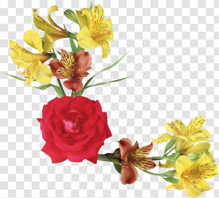 Photography Flower Clip Art - Bouquet - Tiff Transparent PNG