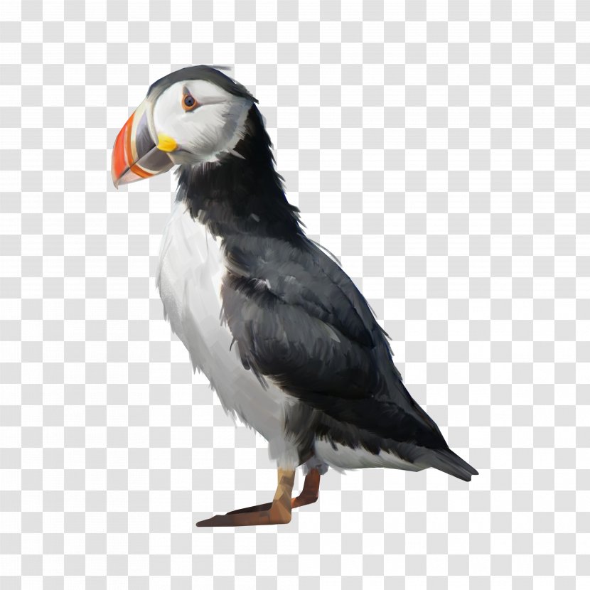 Puffin Ship Whaler Beak Art - Sea Transparent PNG