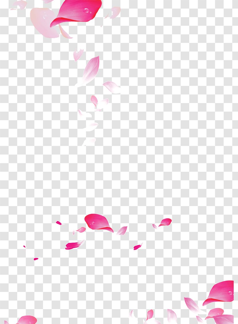 Petal Art - Peach Blossom - Falling Petals Transparent PNG