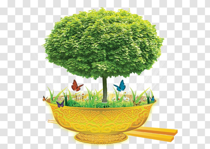 Stock Photography Tree Royalty-free - Shrub - Gold Bowl Transparent PNG