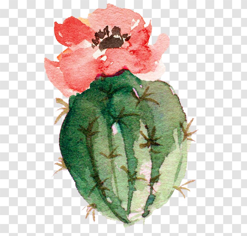 Cactaceae Watercolor Painting Paper - Flowerpot - Flowering Bonsai Cactus Transparent PNG