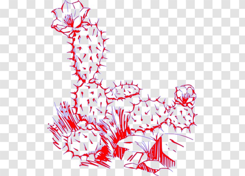 Cactaceae Plant Desert Clip Art - Succulent - Cactus Wreaths Transparent PNG