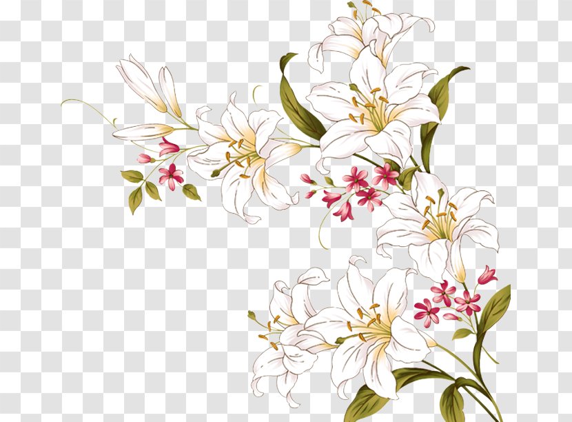 Flower Lilium - Flowering Plant Transparent PNG
