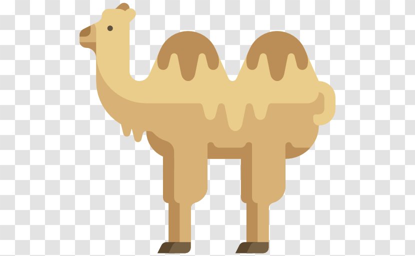 Dromedary Icon - Camel Like Mammal Transparent PNG