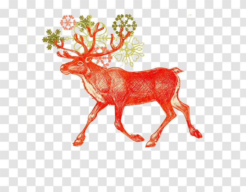 Santa Claus Reindeer Christmas Card - Tree - Lovely Hand-painted Cartoon Deer Transparent PNG
