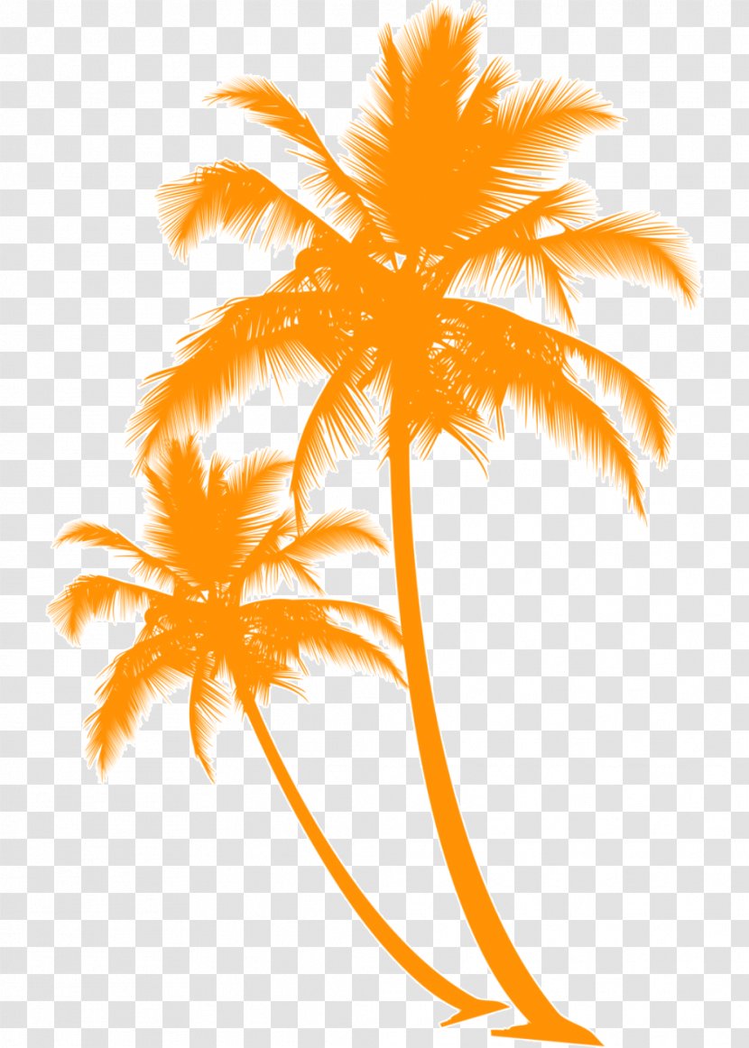 Palm Tree Silhouette - Sunset - Arecales Woody Plant Transparent PNG