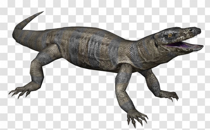 Common Iguanas Megalania Zoo Tycoon 2 Animal Tyrannosaurus - Terrestrial - Zeta Phi Beta Transparent PNG