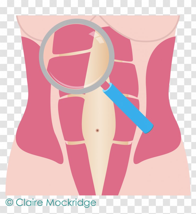 Diastasis Recti Hip Abdomen Rectus Abdominis Muscle - Watercolor - Abdominal Movement Transparent PNG