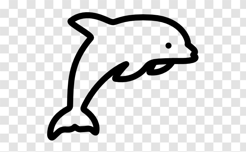 Dolphin - Tier Transparent PNG