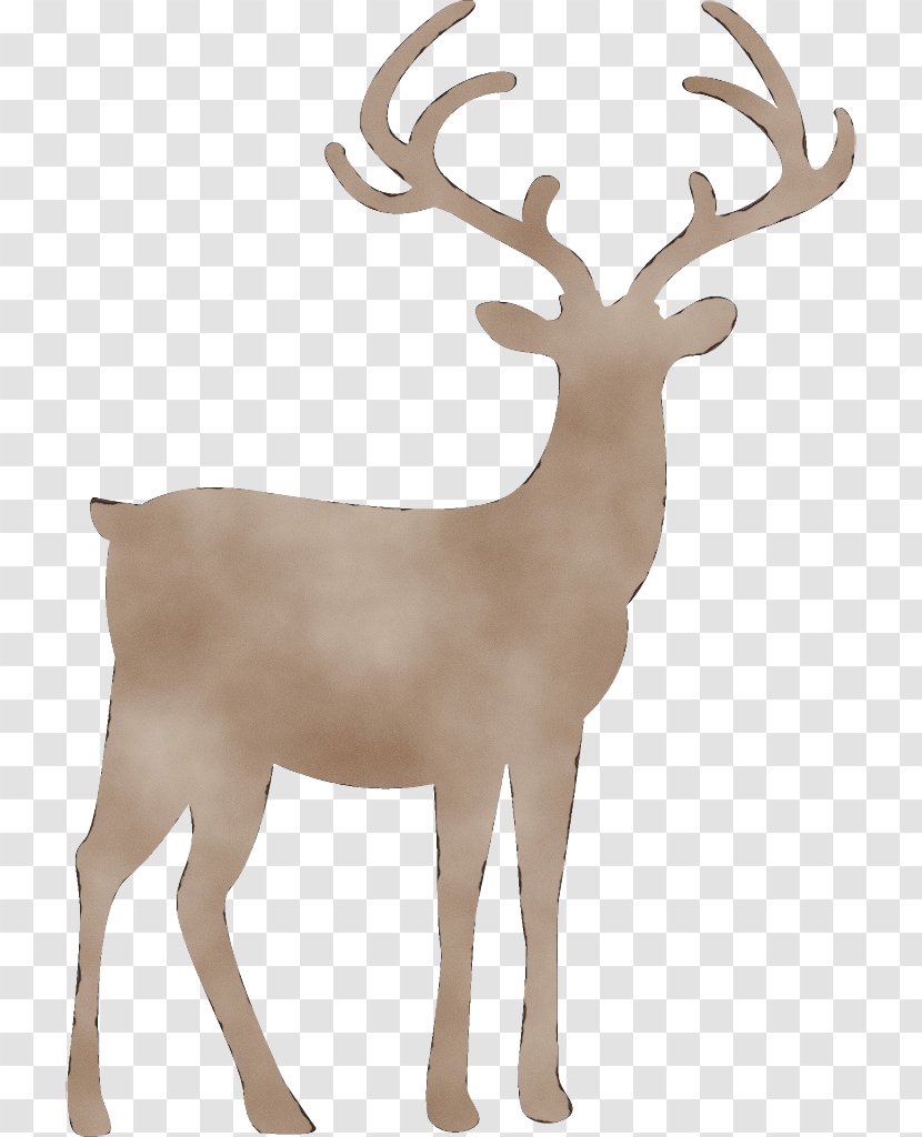 Reindeer - Antelope Sticker Transparent PNG