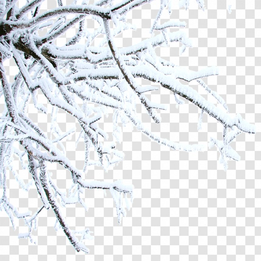 Twig Winter Daxue Clip Art - Free Snow Hanging Branches To Pull Material Transparent PNG