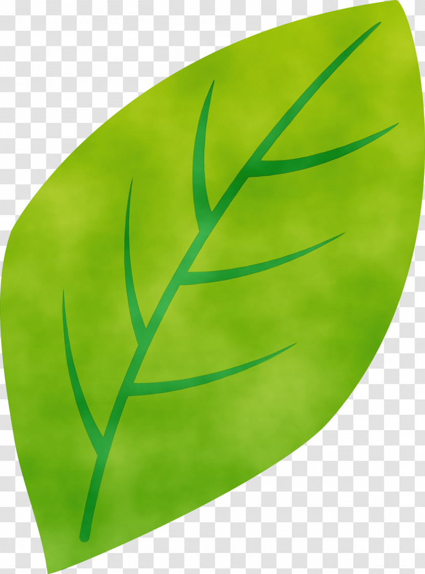 Green Leaf Plant Transparent PNG