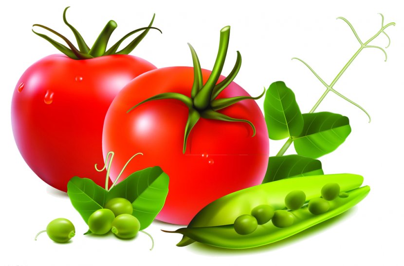 Fruit Salad Vegetable Tomato Transparent PNG