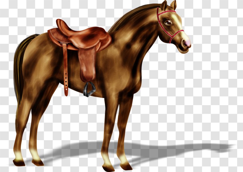 Standing Horse Saddle - Harness Transparent PNG