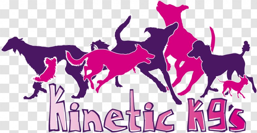 Kinetic K9s Ltd Horse Police Dog Afghan Hound Breed - Logo Transparent PNG