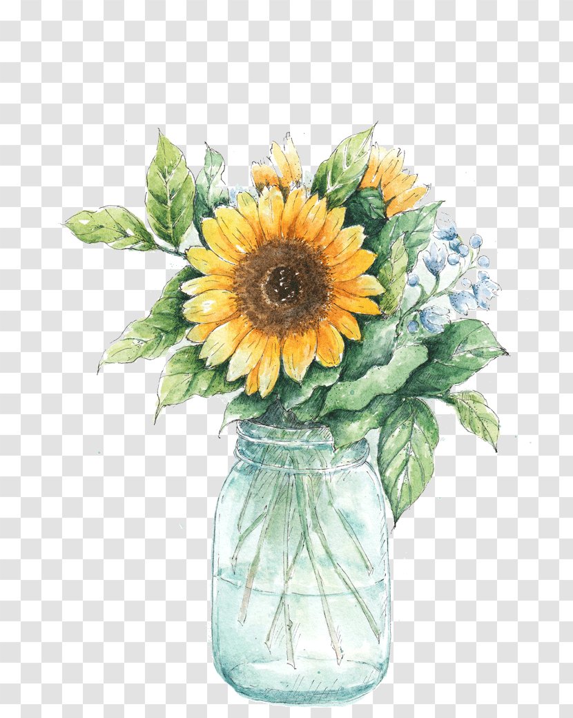 Clip Art Image Common Sunflower Watercolor Painting - Flower Arranging - Jar Transparent PNG