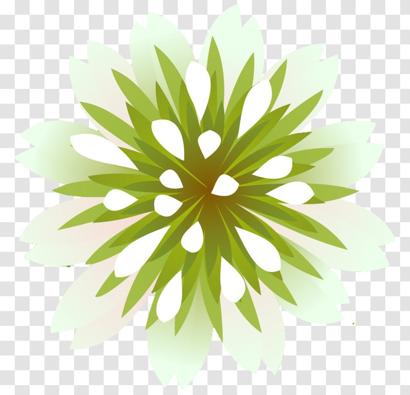 Saint Patrick's Day Holiday Chrysanthemum Collage Clip Art - Flower - Patrick Transparent PNG