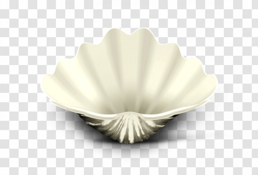 Tableware Seashell - Petal - Shell Transparent PNG