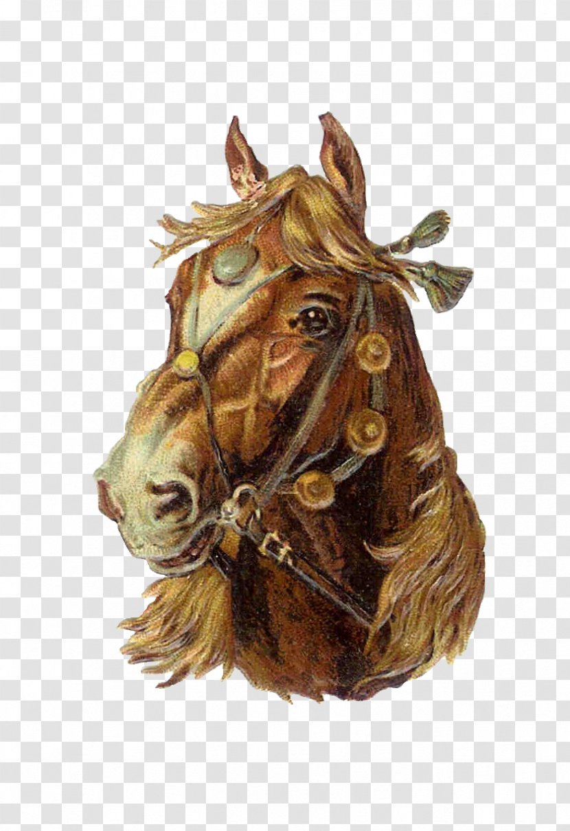 Shire Horse Horses In Art Drawing Clip - Antique - I'm Back Cliparts Transparent PNG