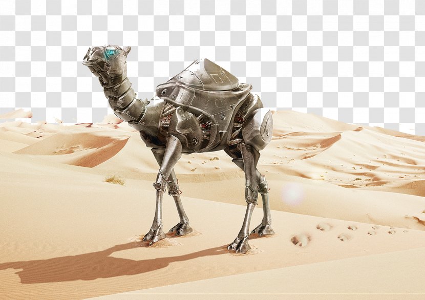 Dromedary Creativity - Arabian Camel - Metal Transparent PNG