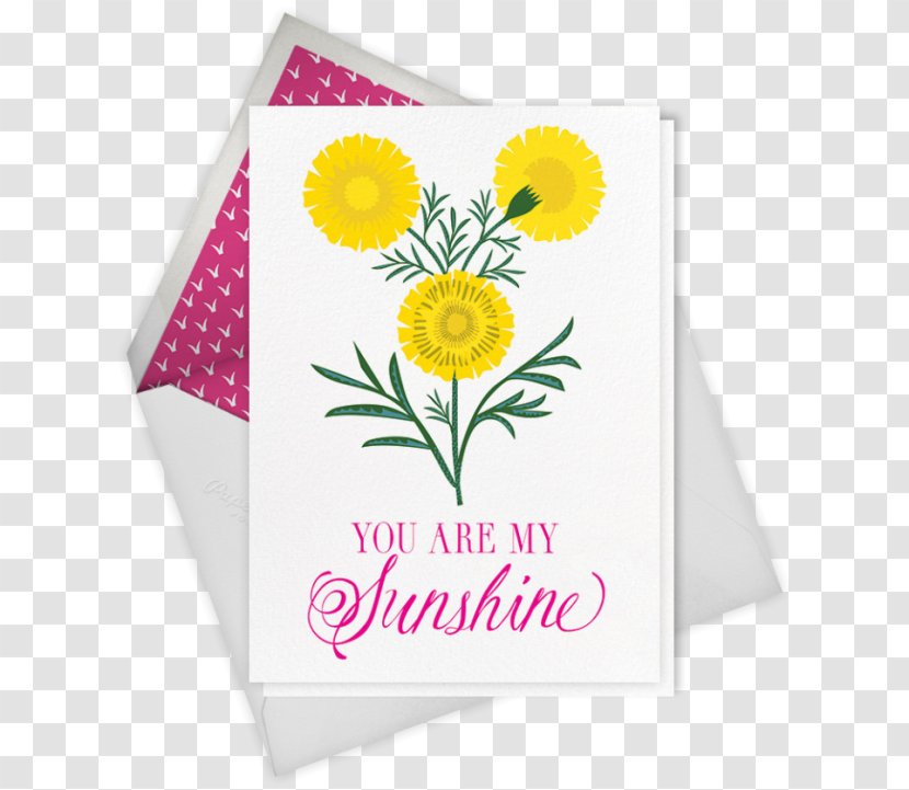 Transvaal Daisy Greeting & Note Cards - Flowering Plant - Marigold Watercolor Transparent PNG