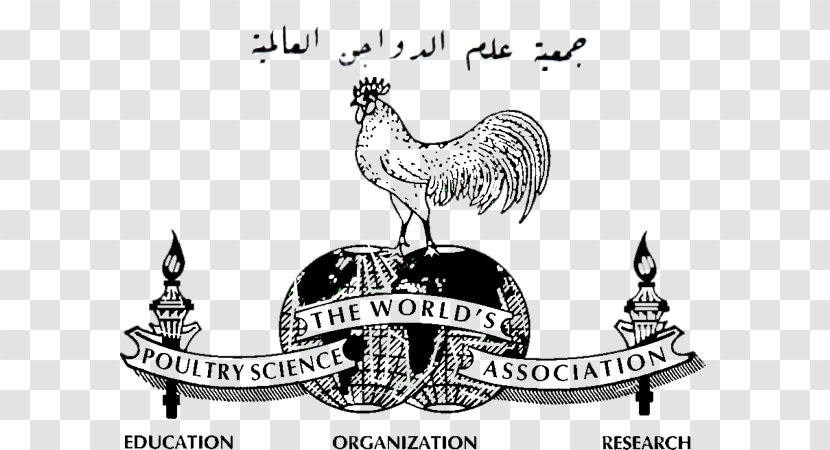 Rooster Poultry Farming The World's Science Association Voluntary - Beak Transparent PNG