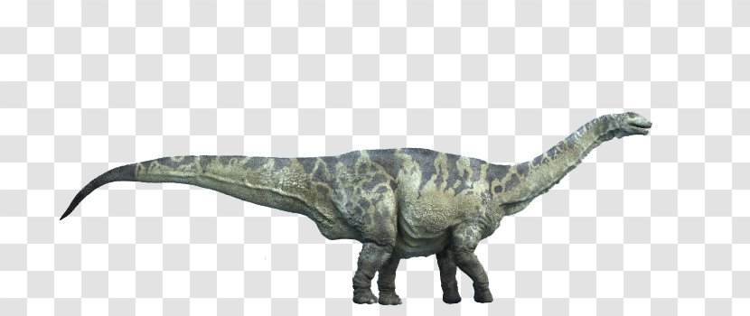 Dinosaur Size Argentinosaurus Titanosaurus Utahraptor Tarbosaurus - Tyrannosaurus Transparent PNG