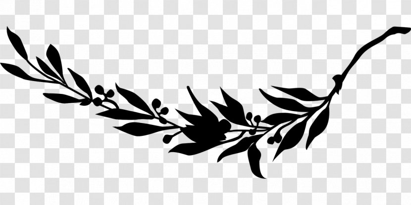 Coat Of Arms Cuba Clip Art Flower - Leaf - Branch Transparent PNG
